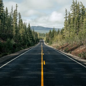 a landscape in day light of a way within the forest
