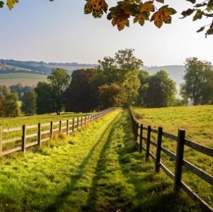 a countryside landscape